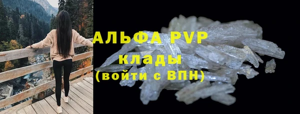 ПСИЛОЦИБИНОВЫЕ ГРИБЫ Карталы
