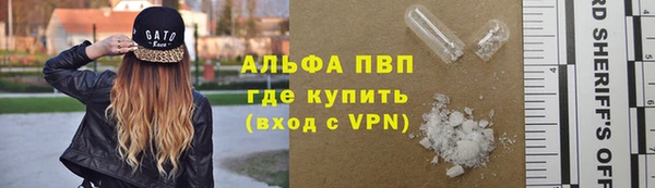 винт Абаза