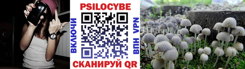 hydra tor  Шумерля  Псилоцибиновые грибы GOLDEN TEACHER  даркнет сайт 