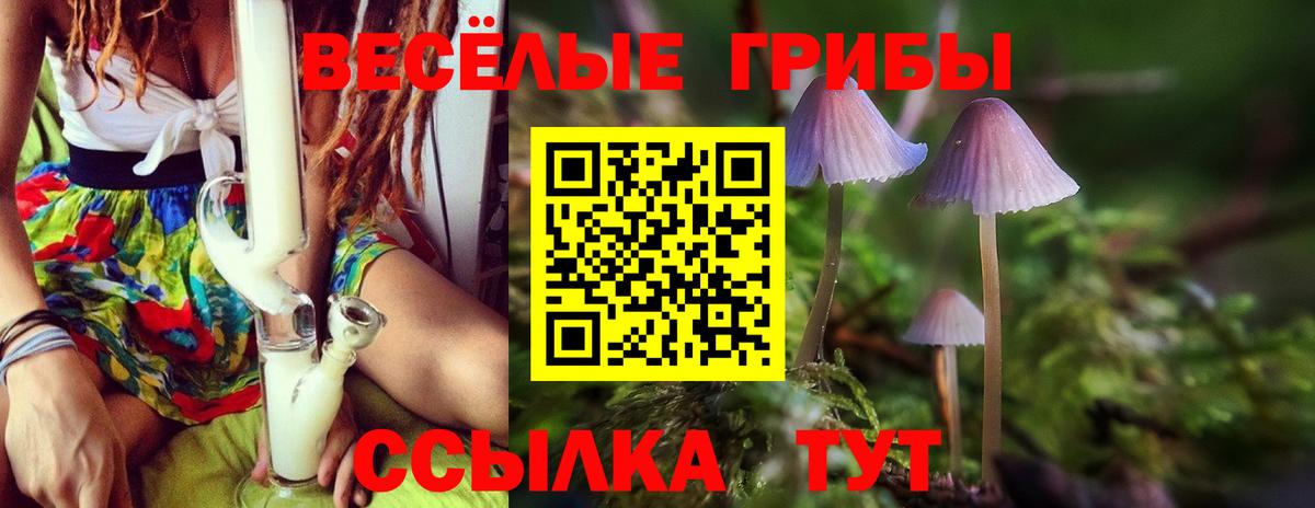 Шумерля  Псилоцибиновые грибы Cubensis  Вход с VPN  Псилоцибиновые грибы мухоморы 